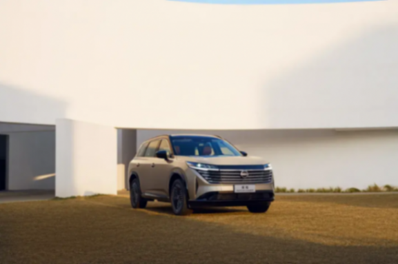 為中國大家庭量身定制,東風日產探陸誠意來襲