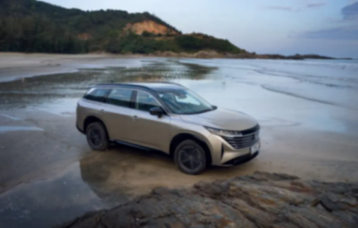 為中國大家庭量身定制,東風日產探陸誠意來襲