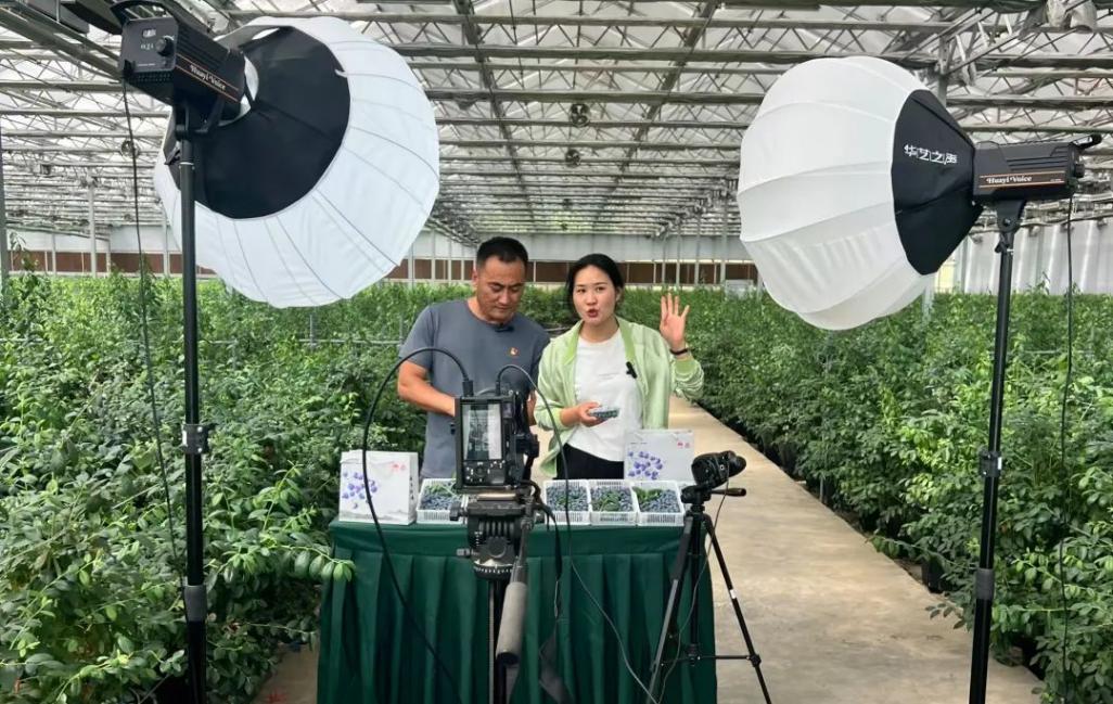 直播電商助力!“東港優品”上“云端”