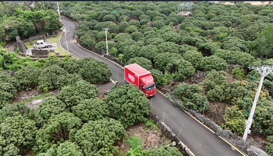 京東物流全貨機來了,助南方多地荔枝“鮮”到全國