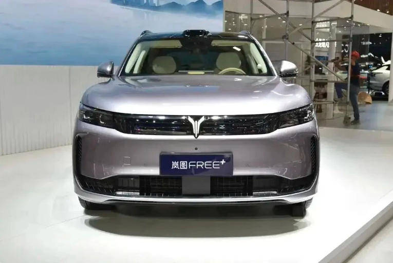 用戶倒逼出終身質(zhì)保,被迫“聽(tīng)勸”的嵐圖真的太想上主桌了