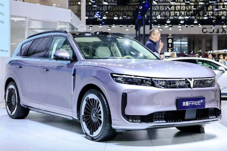 用戶倒逼出終身質(zhì)保,被迫“聽(tīng)勸”的嵐圖真的太想上主桌了