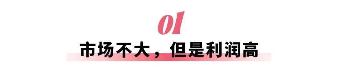 硬派越野這么香,寶馬也要造?