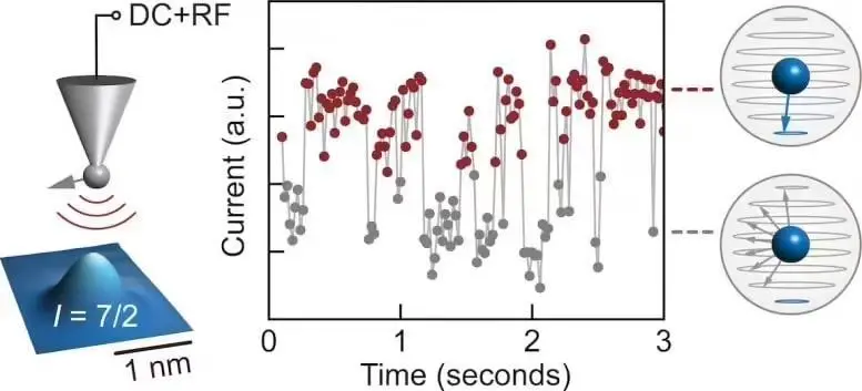 科學家首次實時觀測到原子核自旋翻轉,突破量子測量極限