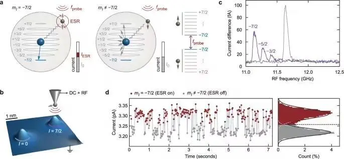 科學家首次實時觀測到原子核自旋翻轉,突破量子測量極限