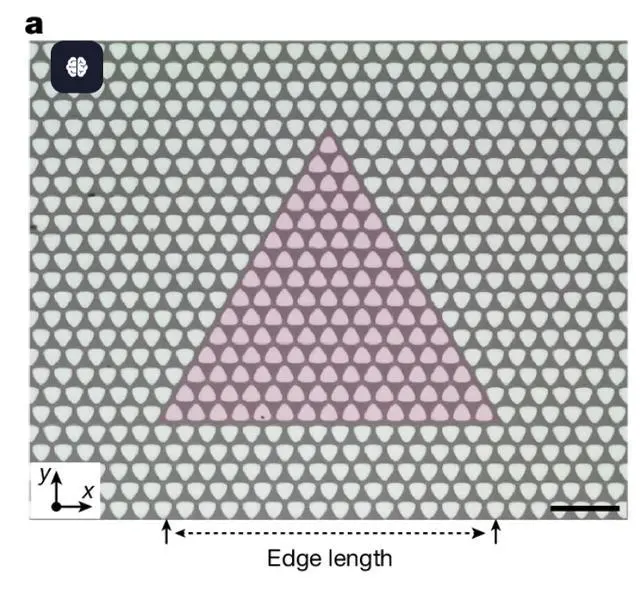 圖｜拓?fù)渎曌硬▽?dǎo)圍繞成三角形路徑的顯微鏡圖像。（來源: Nature）